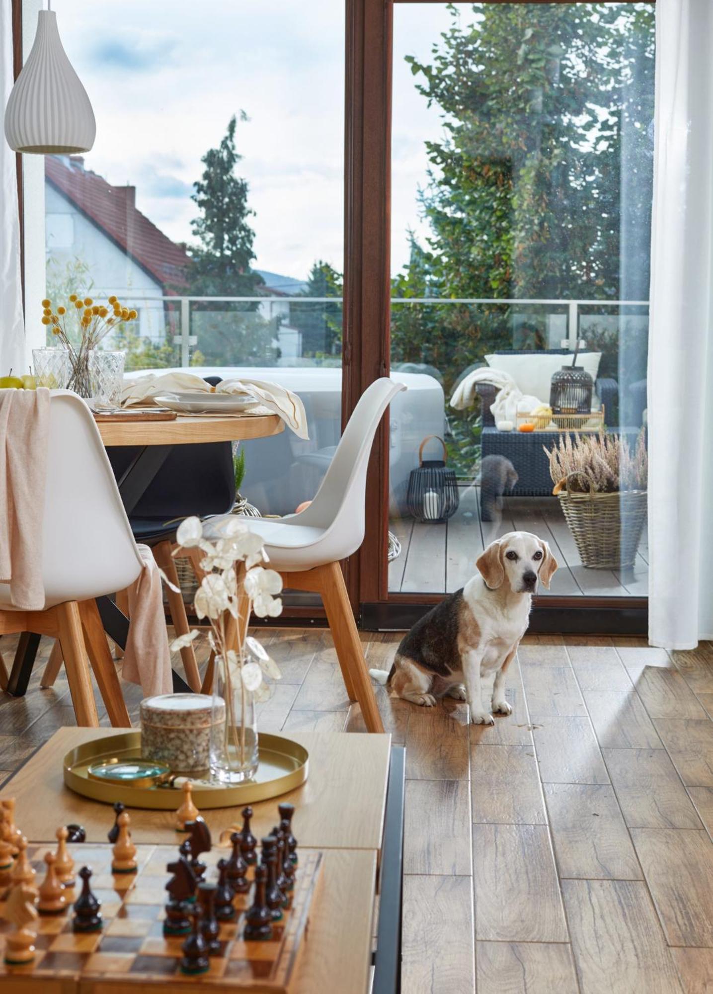 Oh Deer! Apartment Jelenia Gora Luaran gambar
